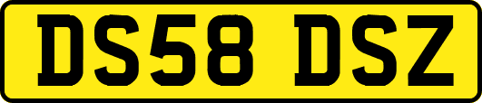 DS58DSZ