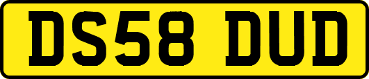 DS58DUD