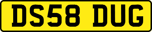 DS58DUG