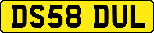 DS58DUL