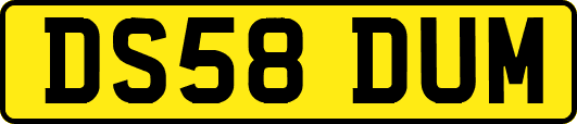 DS58DUM
