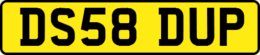 DS58DUP