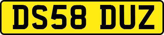 DS58DUZ