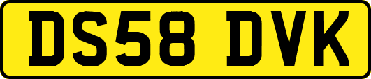 DS58DVK