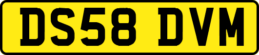 DS58DVM