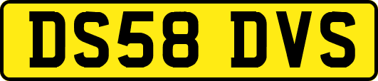 DS58DVS