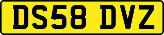 DS58DVZ