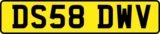 DS58DWV