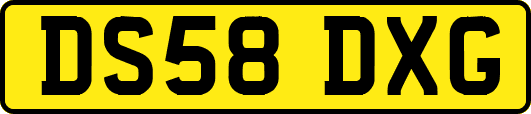 DS58DXG