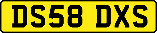 DS58DXS