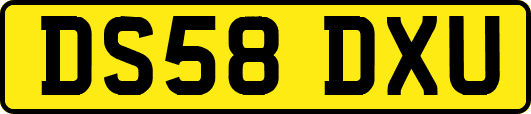 DS58DXU