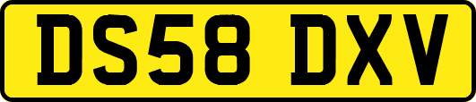 DS58DXV