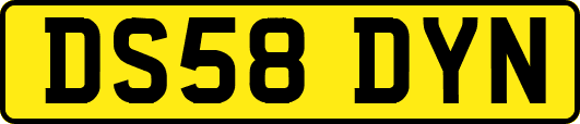 DS58DYN