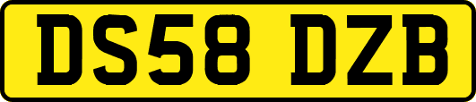 DS58DZB