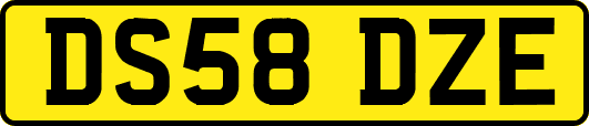 DS58DZE