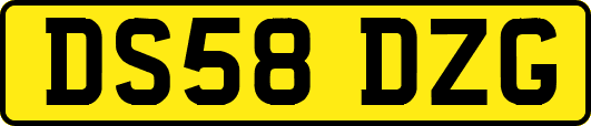 DS58DZG