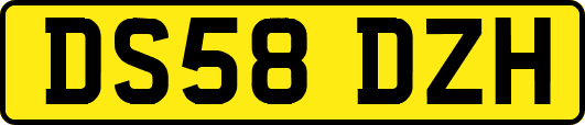 DS58DZH