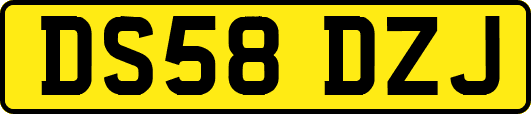 DS58DZJ