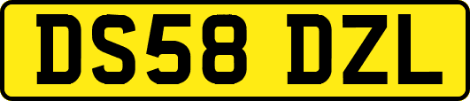DS58DZL