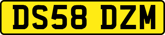 DS58DZM