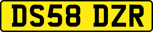 DS58DZR