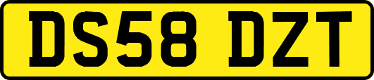 DS58DZT