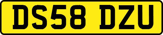 DS58DZU