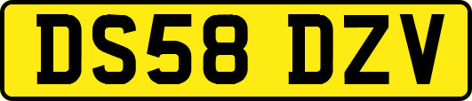 DS58DZV