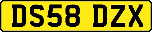 DS58DZX