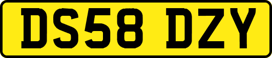 DS58DZY