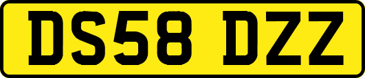 DS58DZZ