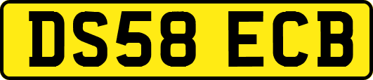 DS58ECB