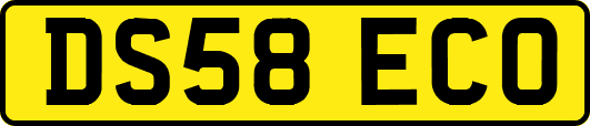DS58ECO