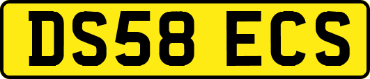 DS58ECS