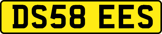 DS58EES