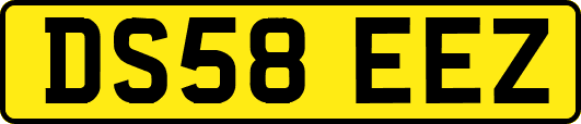 DS58EEZ