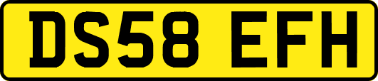 DS58EFH