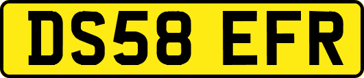 DS58EFR