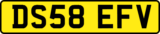 DS58EFV