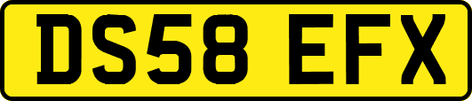 DS58EFX