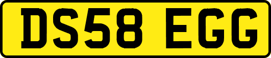 DS58EGG