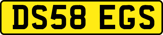 DS58EGS