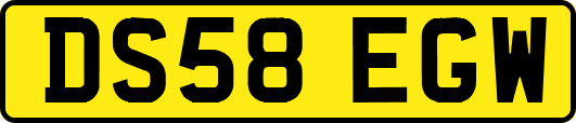 DS58EGW