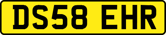 DS58EHR