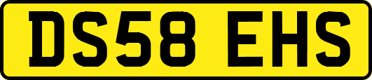 DS58EHS