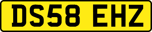 DS58EHZ
