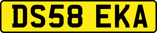 DS58EKA