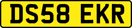 DS58EKR