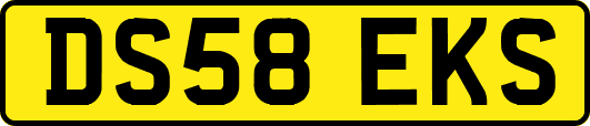 DS58EKS