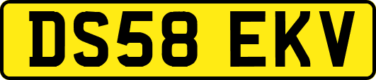 DS58EKV